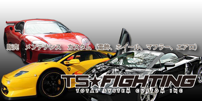 ＴＳ☆ＦＩＧＨＴＨＩＮＧ